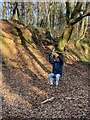 ST1582 : Reliving childhood in Wenallt Woods by Alan Hughes