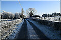 Frosty along a minor road, Fireagh (Thompson)