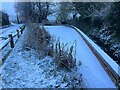 The Millennium Pond in Winterborne Houghton