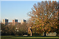 Mountsfield Park, with view of Lewisham Park Towers