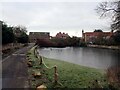 Frozen village pond, Ferrensby