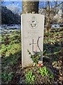 SO9975 : Grave of Sgt  H S Cutler, Lickey Cemetery December 2022 by Roy Hughes