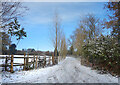 Snowy Track at Howe Hill