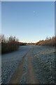 Path above the wildlife pool