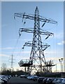 Electricity pylons