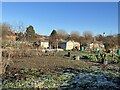 Coton Fields Allotments