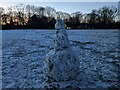 Snowman at Leominster