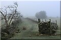 Freezing Fog on the Path between Timble and Snowden Carr