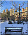 TL4458 : Snow in All Saints' Garden by John Sutton