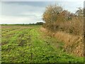 SE4749 : Farmland near Bilton-in-Ainsty village by Alan Murray-Rust