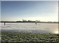 TL2799 : Ice skating in the Fens on Whittlesey Wash - The Nene Washes by Richard Humphrey