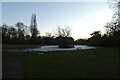 Towards the pond in Rowntree Park