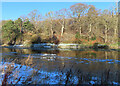 River Tweed at Lowood