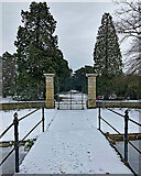 TL4557 : Cambridge Botanic Garden: along snowy Main Walk by John Sutton