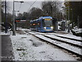 Priestfield in the Snow