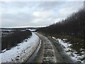 Minor road near Ballinlagg