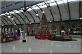 NZ2463 : Christmas tree in Newcastle station by DS Pugh