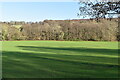 TQ4935 : Withyham Cricket ground by N Chadwick
