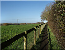 SU7863 : Footpath at Finchampstead by Des Blenkinsopp