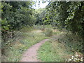 Footpath into the woods, Moor Green