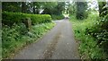 Lane near Little Elmridge