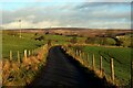 Access Lane heading North towards West Moor Farm