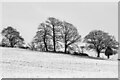 SO6720 : Snowy December morning by Jonathan Billinger