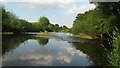 Shallows on the River Severn, Upper Brompton Farm