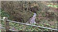 Stream at Dingle Mill