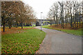 Cycle path in Tamworth