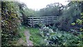 Footbridge across a small stream at Pen-y-Graig