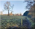 Footpath towards Dunclent Farm