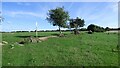 Abraded Field Boundary at Penarnewydd