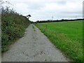 Footpath leading towards Eisteddfa