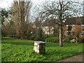 A quiet spot by the brook