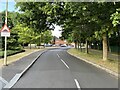 View along Pinehurst Avenue