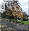 Christmas Day colours, Pontnewydd, Cwmbran