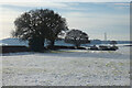 Farmland, Amersham