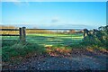 Whiddon Down : Grassy Field & Gate