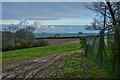 Littleham : Grassy Field