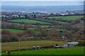 Littleham : Countryside Scenery