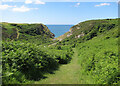 SS4287 : A distant Mewslade Bay by Dave Croker