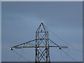 Buzzard on a Pylon