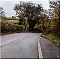 Towards a bend in a parking area, Llangua, Monmouthshire