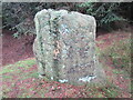 SE7591 : Standing stone near Blackpark Lodge by T  Eyre