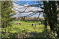 Croquet on a cold afternoon, Kenilworth