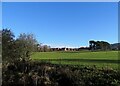 View of new houses at Maiden Law