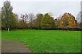 Tower Road Play Area (2), Tower Road, Hereford