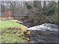 Footbridge over the Allander Water