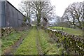 Footpath approaching Syde